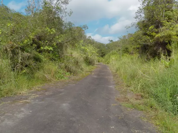 Volcano, HI 96785,HILOHILO ST