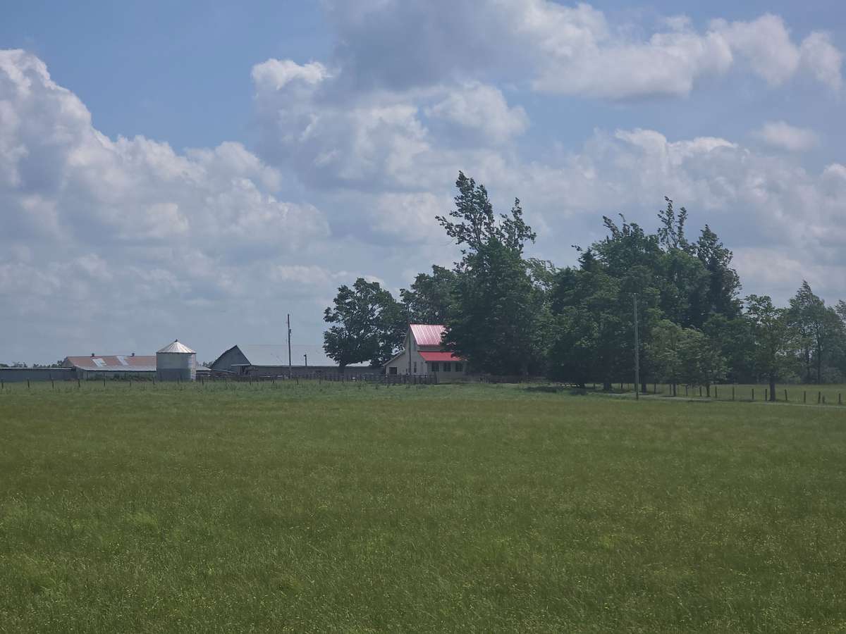 501098 Hwy # 89 N/A, East Luther Grand Valley, ON L9W 3W3