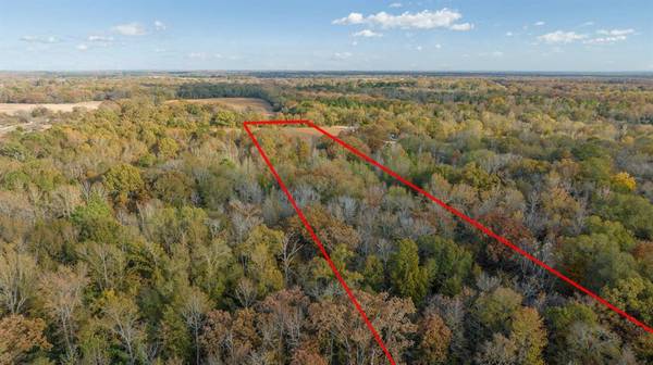 Bogata, TX 75417,TBD COUNTY ROAD 1440