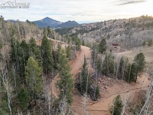 Cripple Creek, CO 80813,276 Granite LN