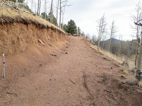 Cripple Creek, CO 80813,276 Granite LN