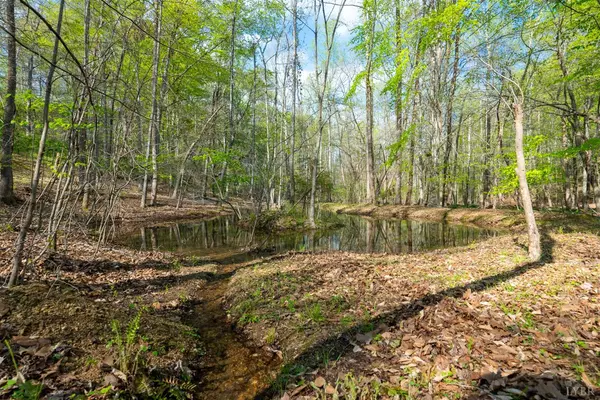 Rustburg, VA 24588,593 Chinkapin RD