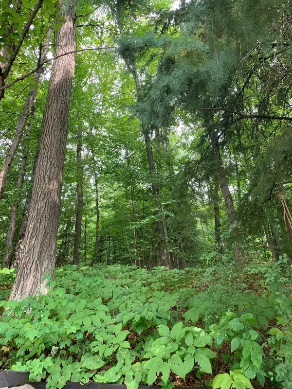 Bancroft, ON K0L 1C0,198 Gaebel RD