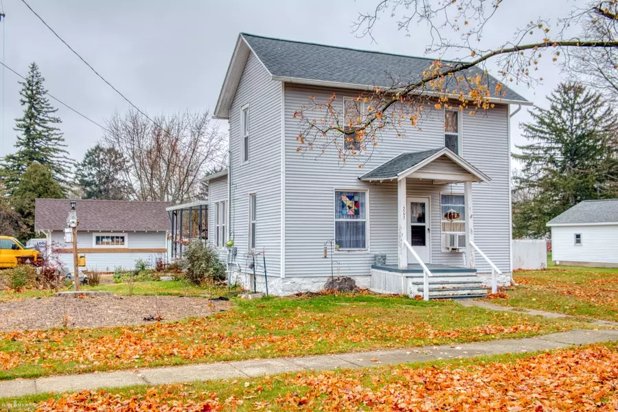203 E Oak ST, Elsie, MI 48831
