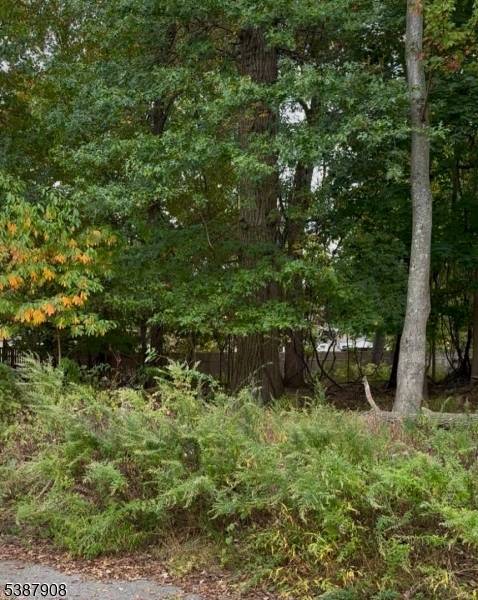 0 Oakwood Ave, Pequannock Twp., NJ 07440