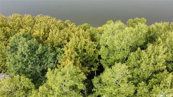 4 Bear Ridge ROAD, Barrier Valley Rm No. 397, SK S0E 0B0