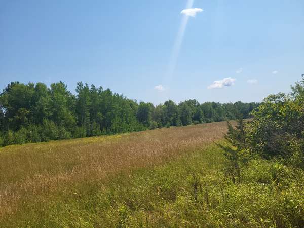 186 Howes RD, Quinte West, ON K0K 2C0