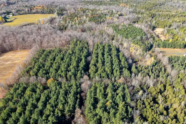 Erin, ON N0B 1T0,9328 Wellington  50 RD