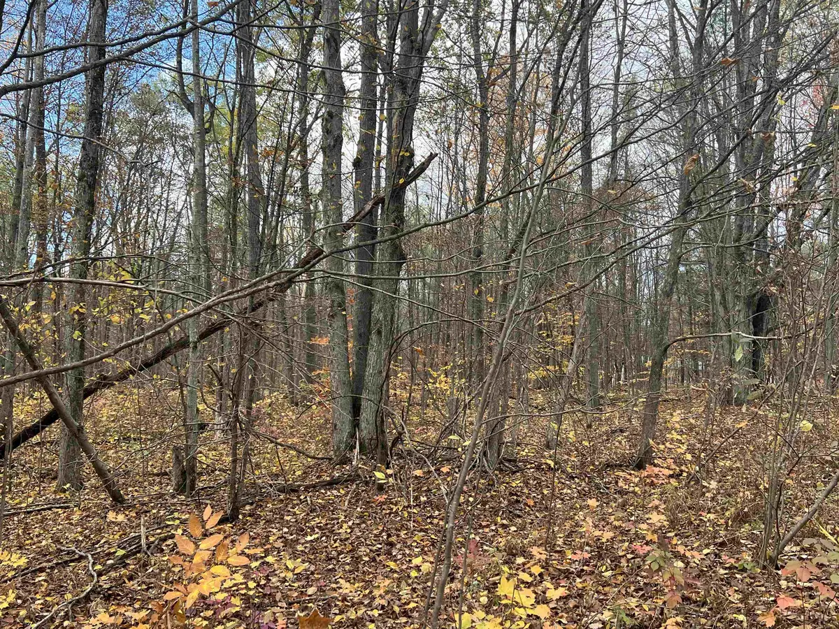 000 Wildwood Shores DR, Bear Lake Twp, MI 49646