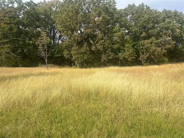 Tool, TX 75143,46 Kanakoa Drive