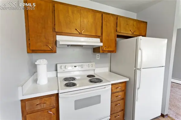 Woodland Park, CO 80863,1013 Fullview ST