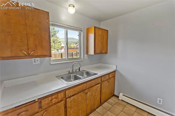 Woodland Park, CO 80863,1013 Fullview ST