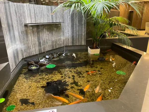 280 Simcoe ST #903, Toronto C01, ON M5T 2Y5