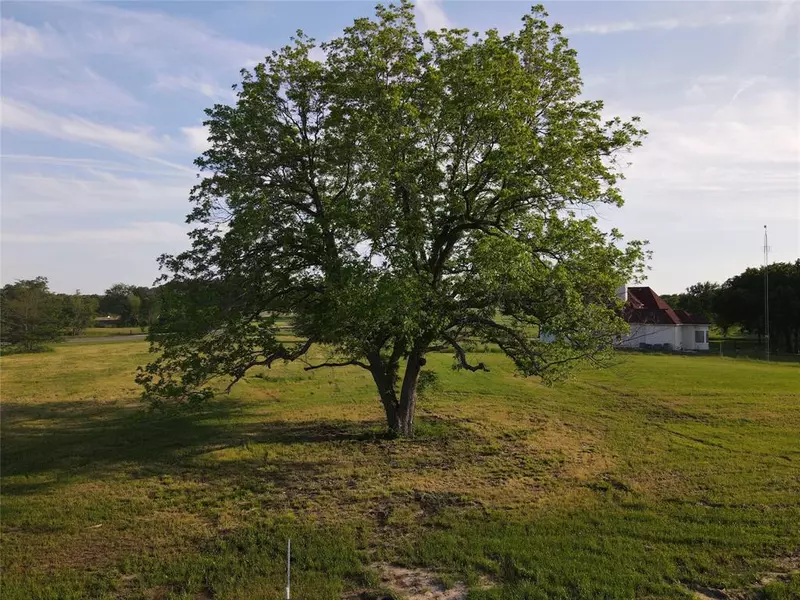 290 Wildflower Way, Dodd City, TX 75438