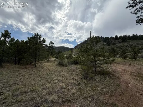 Lake George, CO 80827,202 County RD