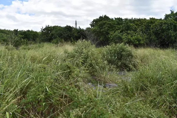 Naalehu, HI 96772,94-6374 PELE ST