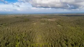 ROAD 2 (AO), Mountain View, HI 96760