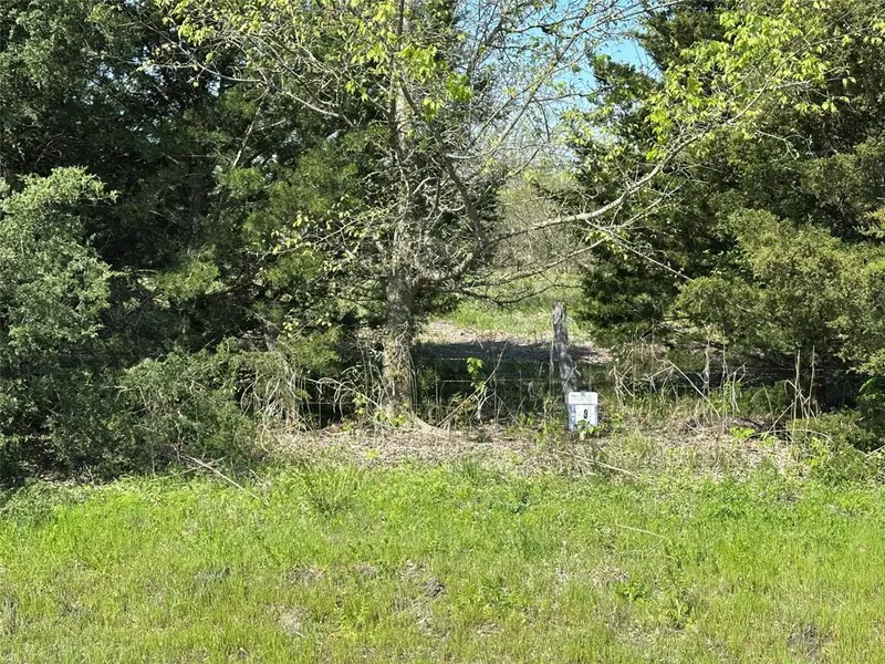 Tract 8 Farm to Market 1743, Honey Grove, TX 75446