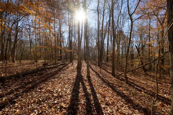 Racine, OH 45771,Morning Star Rd