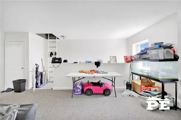 Brooklyn, NY 11207,637 Blake AVE