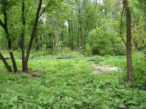 Grand Blanc, MI 48439,3268 Perry CT