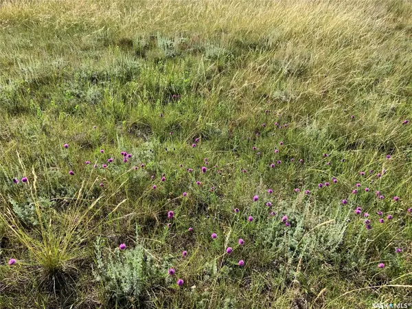 132 Olsen ROAD, Last Mountain Lake East Side, SK S0G 0L0