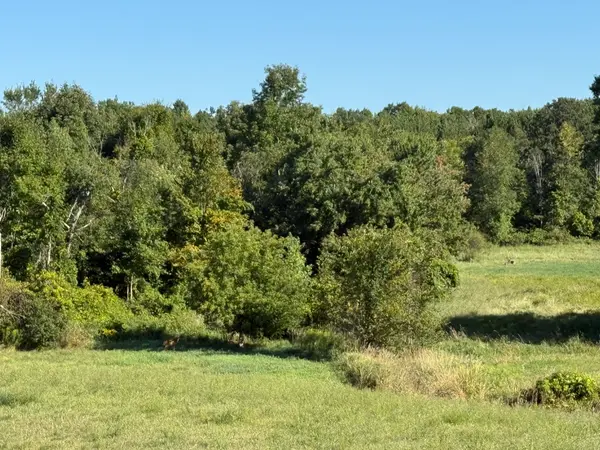 Madoc, ON K0K 2K0,0 Deloro RD