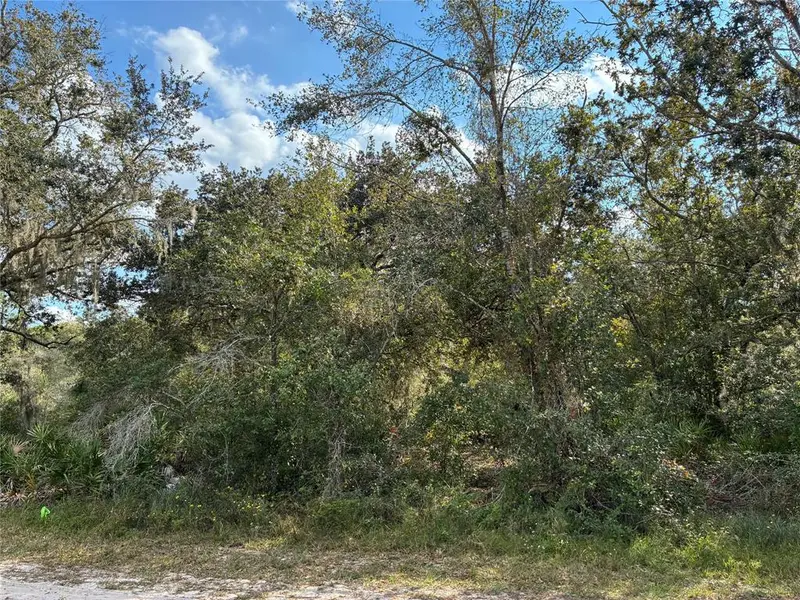 Lot 23 Blk 154 Plumosa Drive, Indian Lake Estates, FL 33855