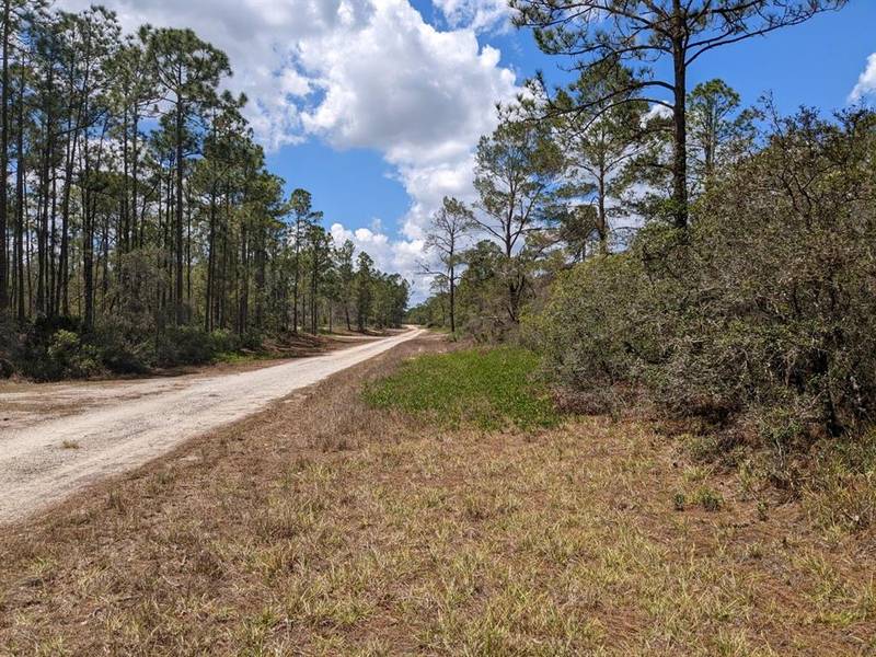 430 Apple Blossom Ave, Lake Placid, FL 33852