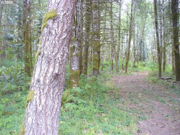 0 Old Rainier RD, Rainier, OR 97048