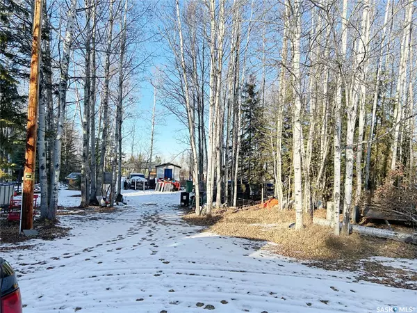 3 Joanne PLACE, Paddockwood Rm No. 520, SK S0J 0N0