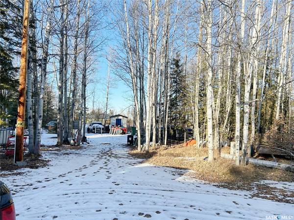 3 Joanne PLACE, Paddockwood Rm No. 520, SK S0J 0N0