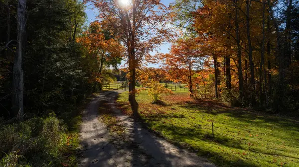 Erin, ON L0N 1N0,5748 First Line