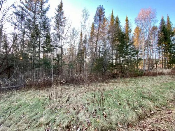 Parry Sound Remote Area, ON P0H 1S0,46 Spur RD E