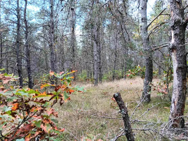 1433 S Peacock TRL, Peacock Twp, MI 49304