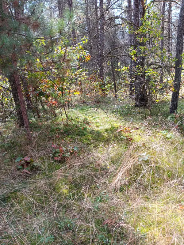 1433 S Peacock TRL, Peacock Twp, MI 49304