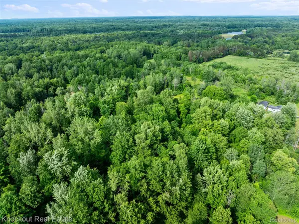 Vassar, MI 48768,#0079 V/L Natures Nest RD