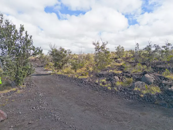 Naalehu, HI 96737,92-8961 LAUHALA DR