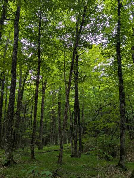 Address Not Disclosed