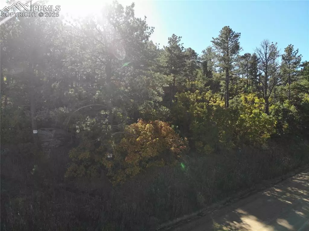 Palmer Lake, CO 80133,Oakdale TER