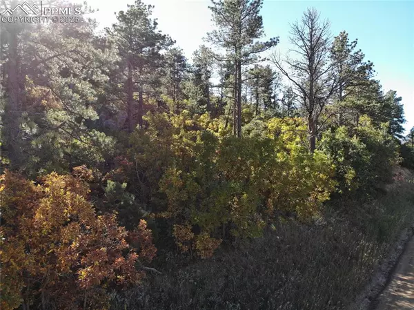 Palmer Lake, CO 80133,Oakdale TER