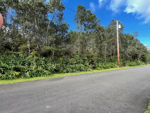 Volcano, HI 96785,1ST ST