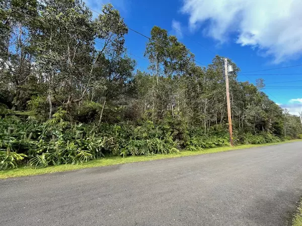 Volcano, HI 96785,1ST ST