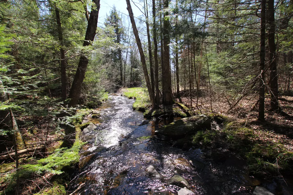 Parry Sound Remote Area, ON P0H 2R0,0 534 Hwy HWY