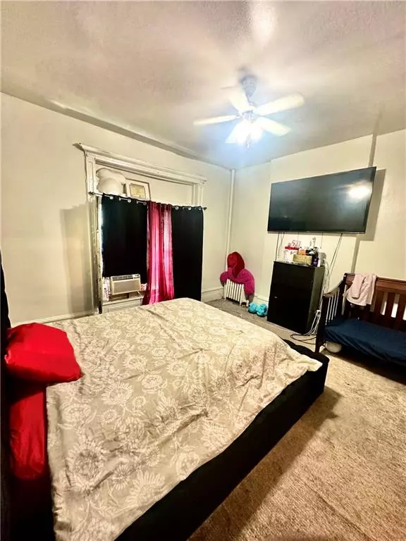 Brooklyn, NY 11213,767 Eastern Pkwy #1A