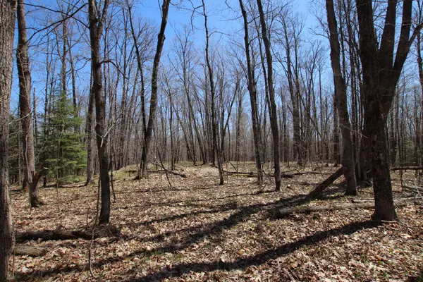 Parry Sound Remote Area, ON P0H 2R0,0 534 Hwy HWY