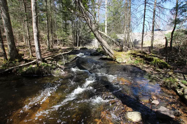 Parry Sound Remote Area, ON P0H 2R0,0 534 Hwy HWY