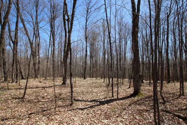 Parry Sound Remote Area, ON P0H 2R0,0 534 Hwy HWY