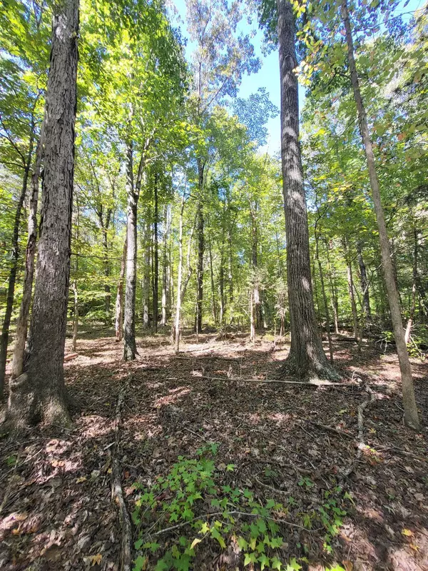 9 Cedar Lake Road, South Boston, VA 24592