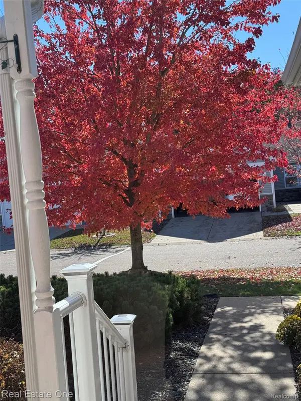 Howell, MI 48843,480 Hosta